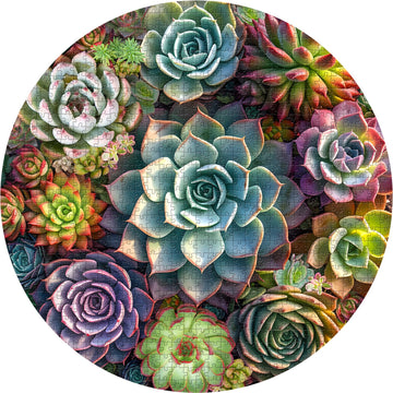Puzzle puzzle succulente vintage 1000 pezzi